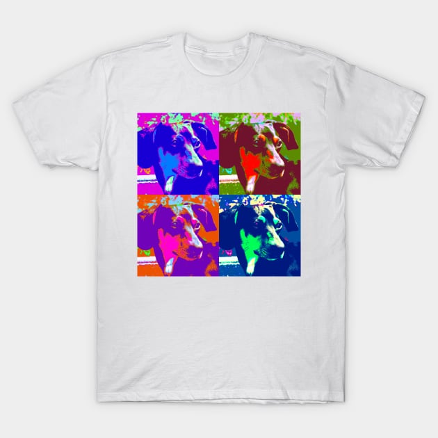 Dachshund Pop Art Design T-Shirt by Naves